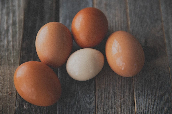 Eier kochen 101