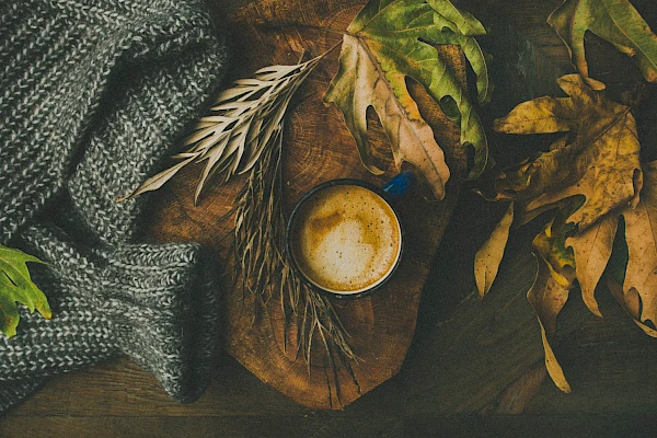 Kaffee kochen 101