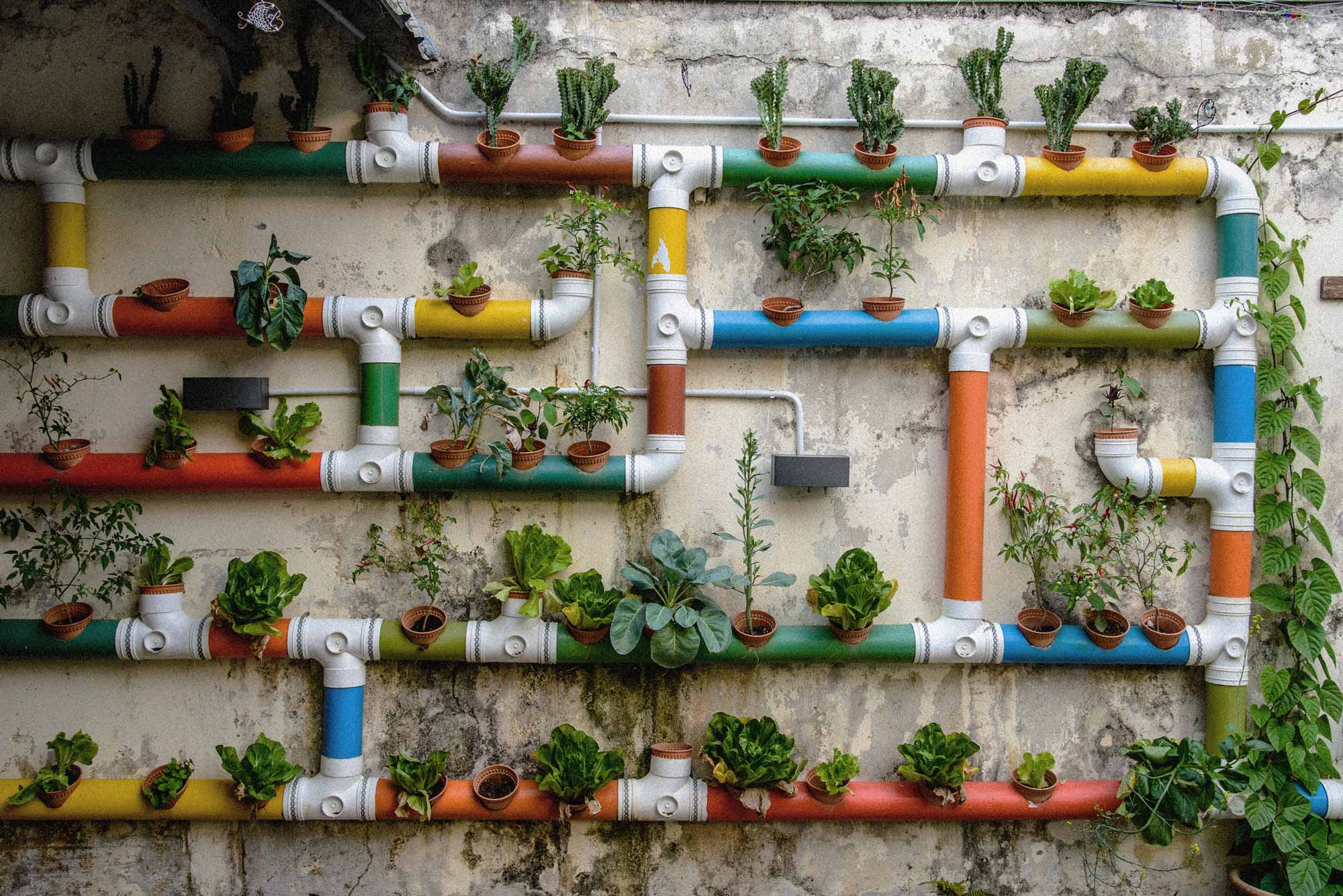 In der Stadt blüht’s!