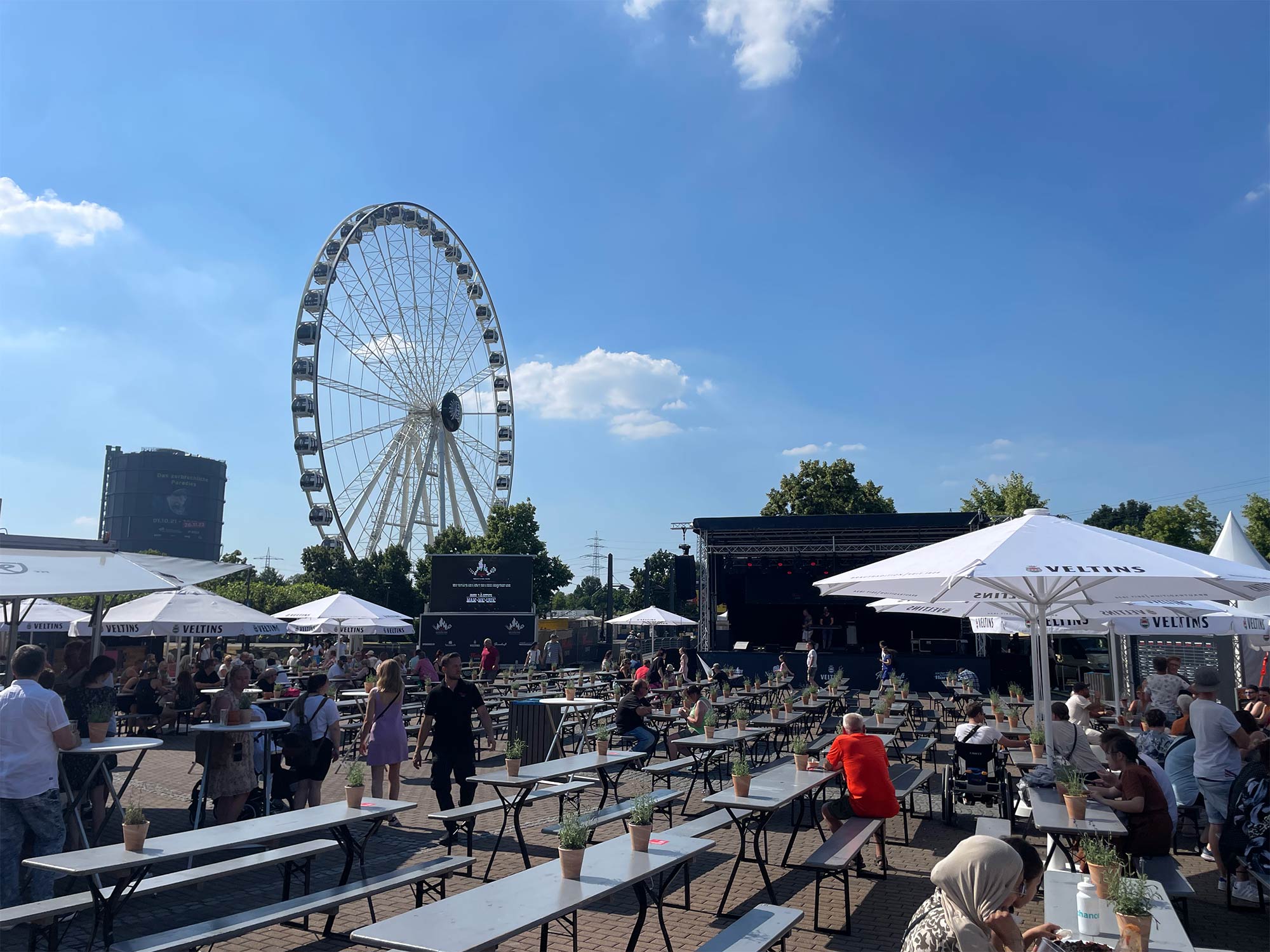 Über BBQ, Bratwurst und Darmspiegelungen