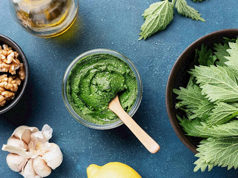 Brennnessel-Pesto