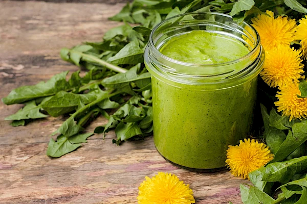 Löwenzahn-Pesto