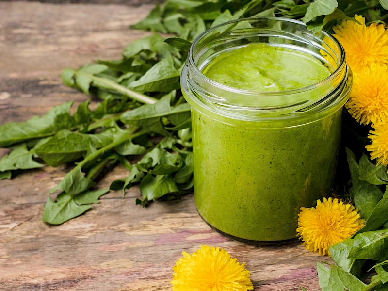 Löwenzahn-Pesto