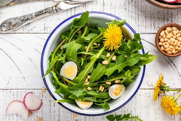 Löwenzahnsalat