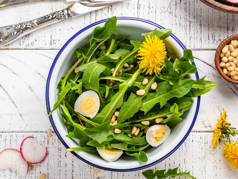 Löwenzahnsalat