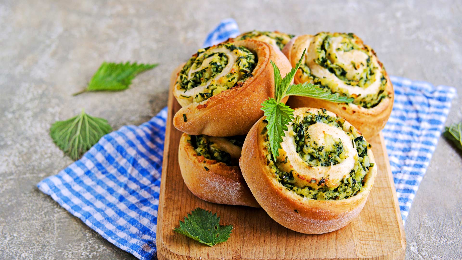 Brennnessel-Schnecken