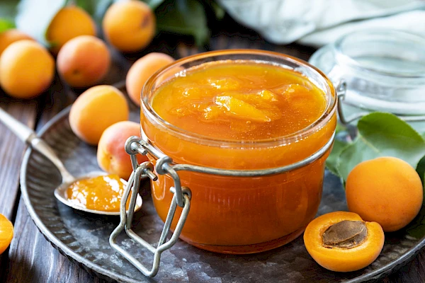Aprikosen-Marmelade