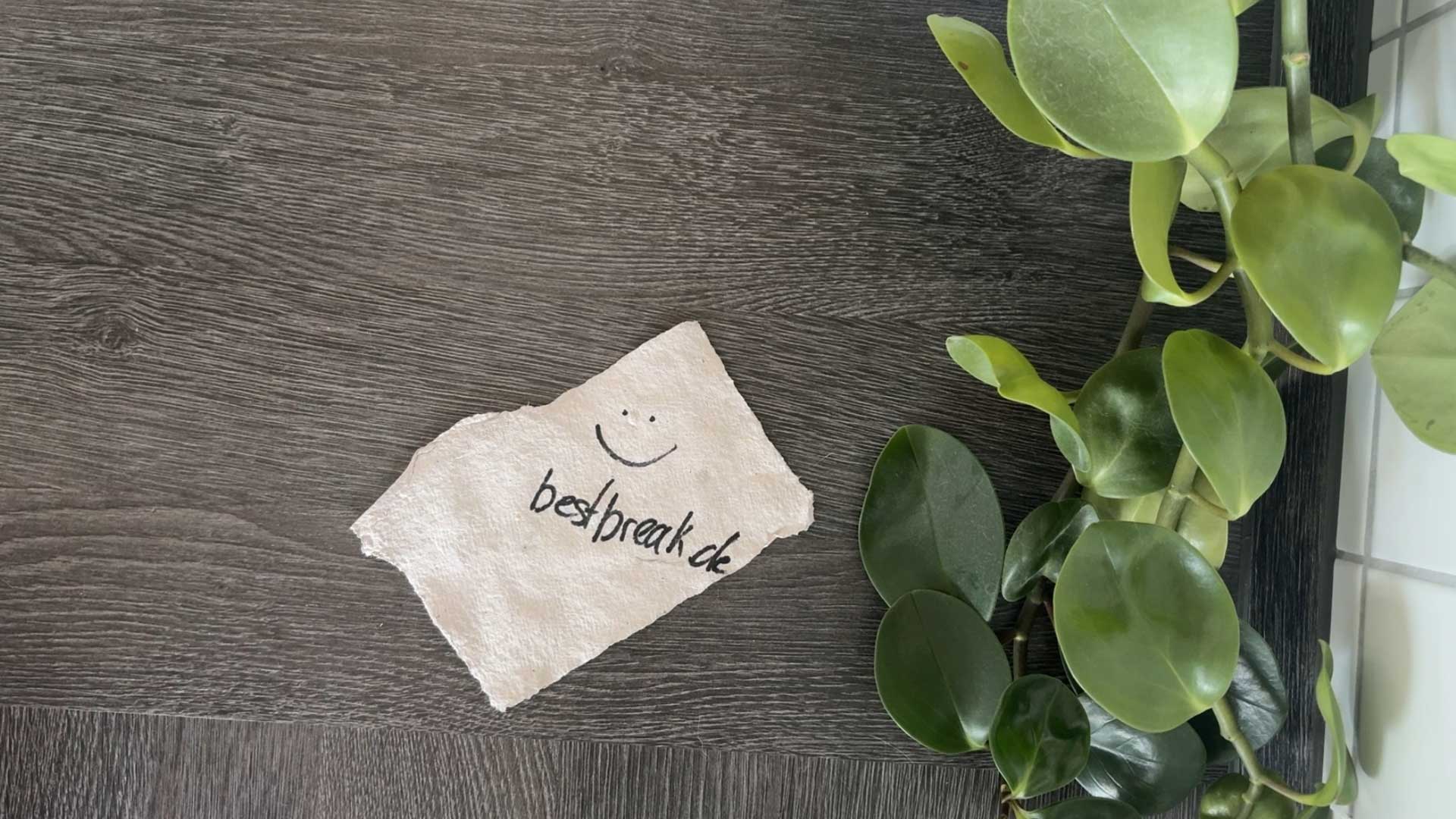 Papierschöpfen selbstgemacht