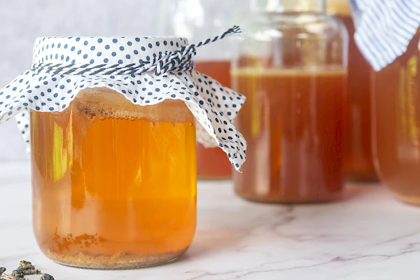 Kombucha